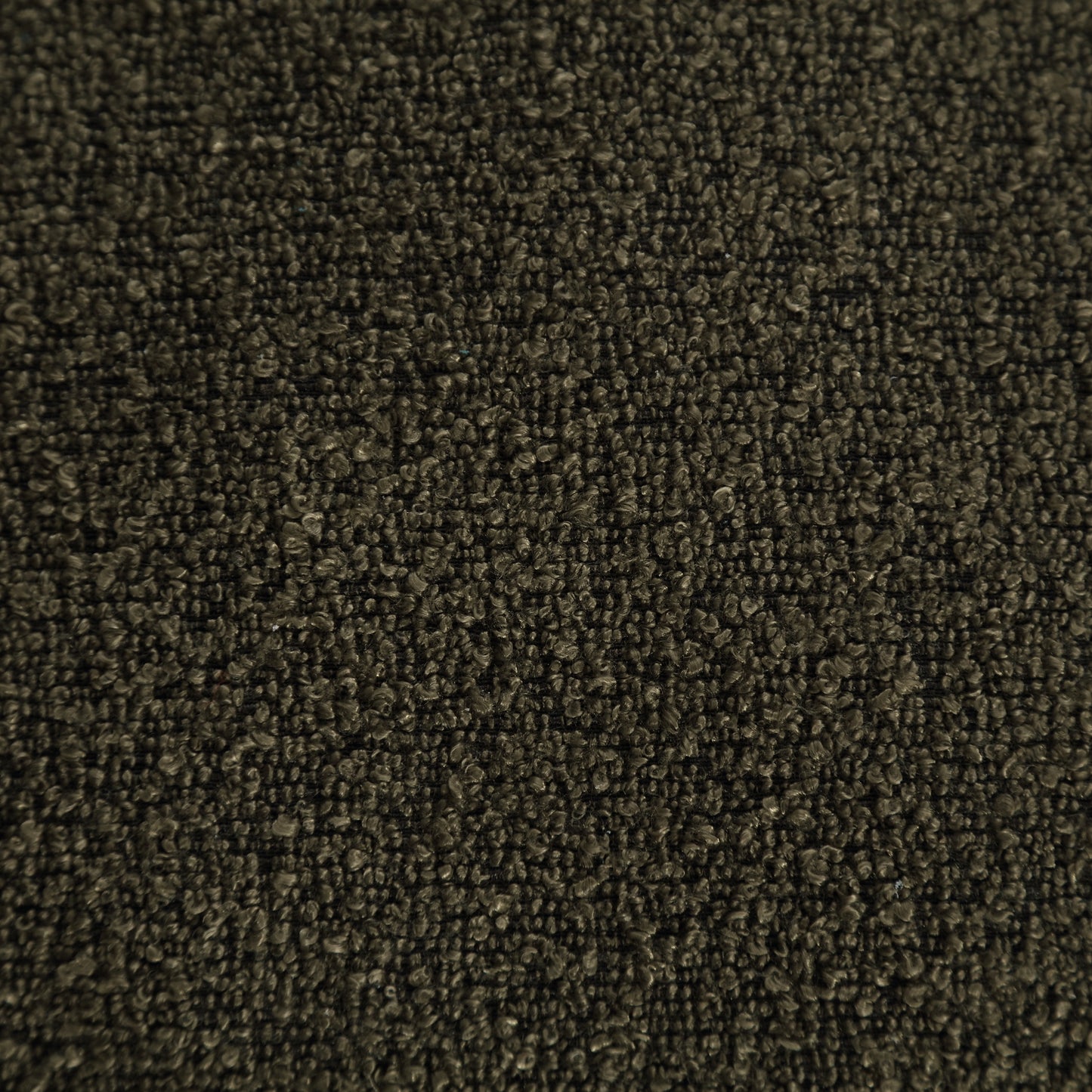 24769761