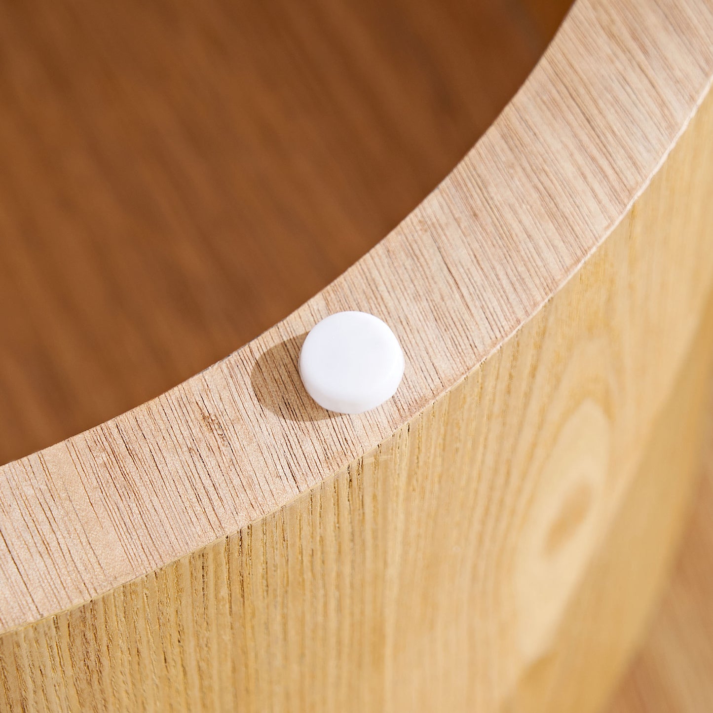 24767697