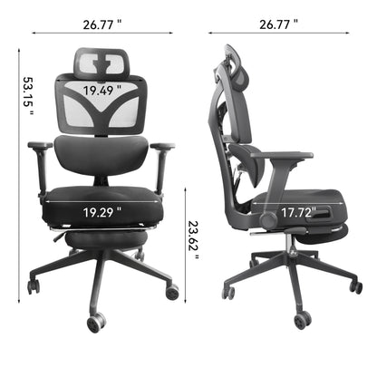 24771019