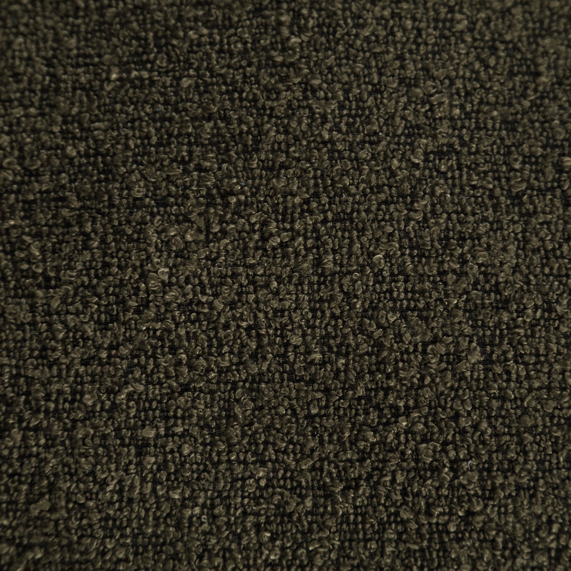 24769761