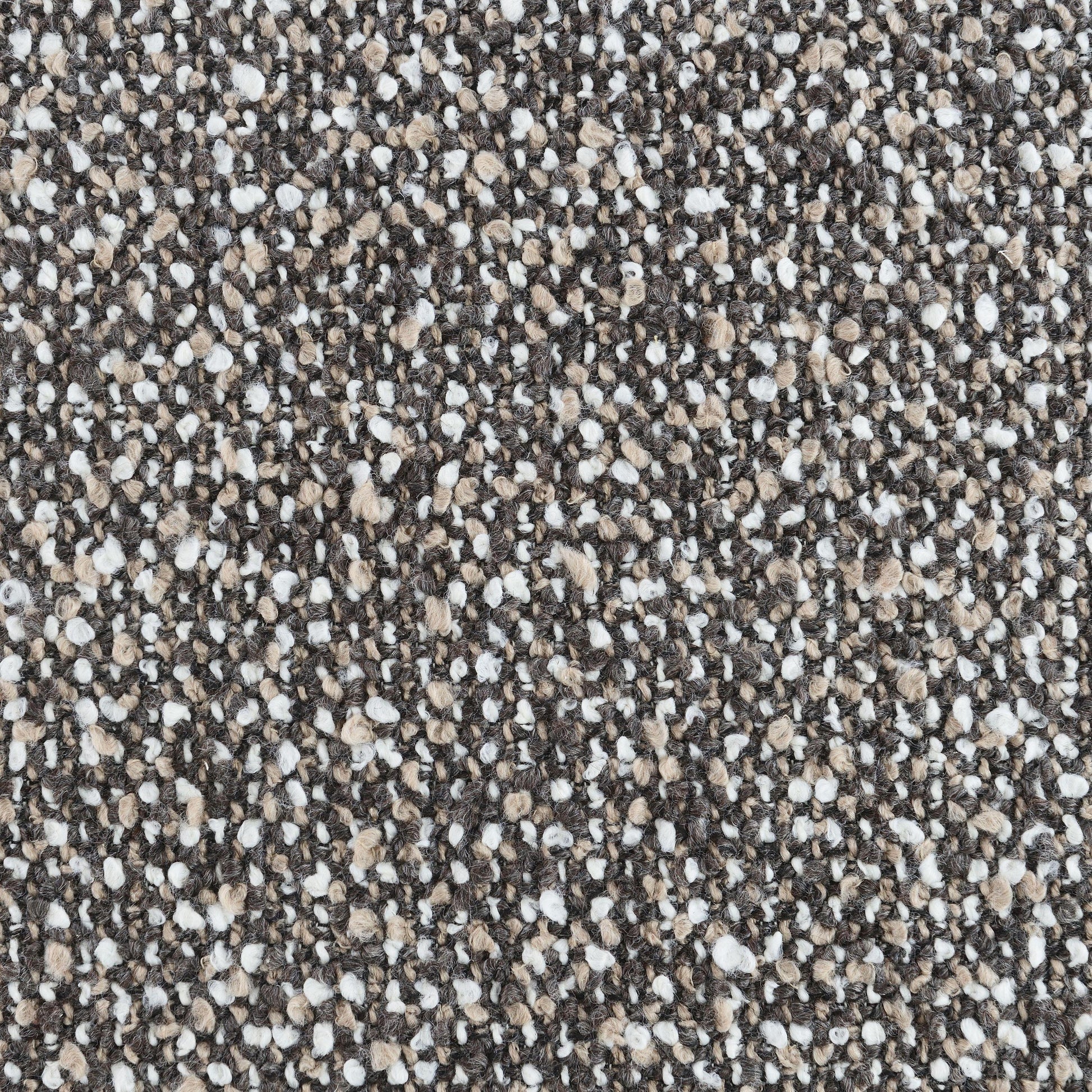 25055371