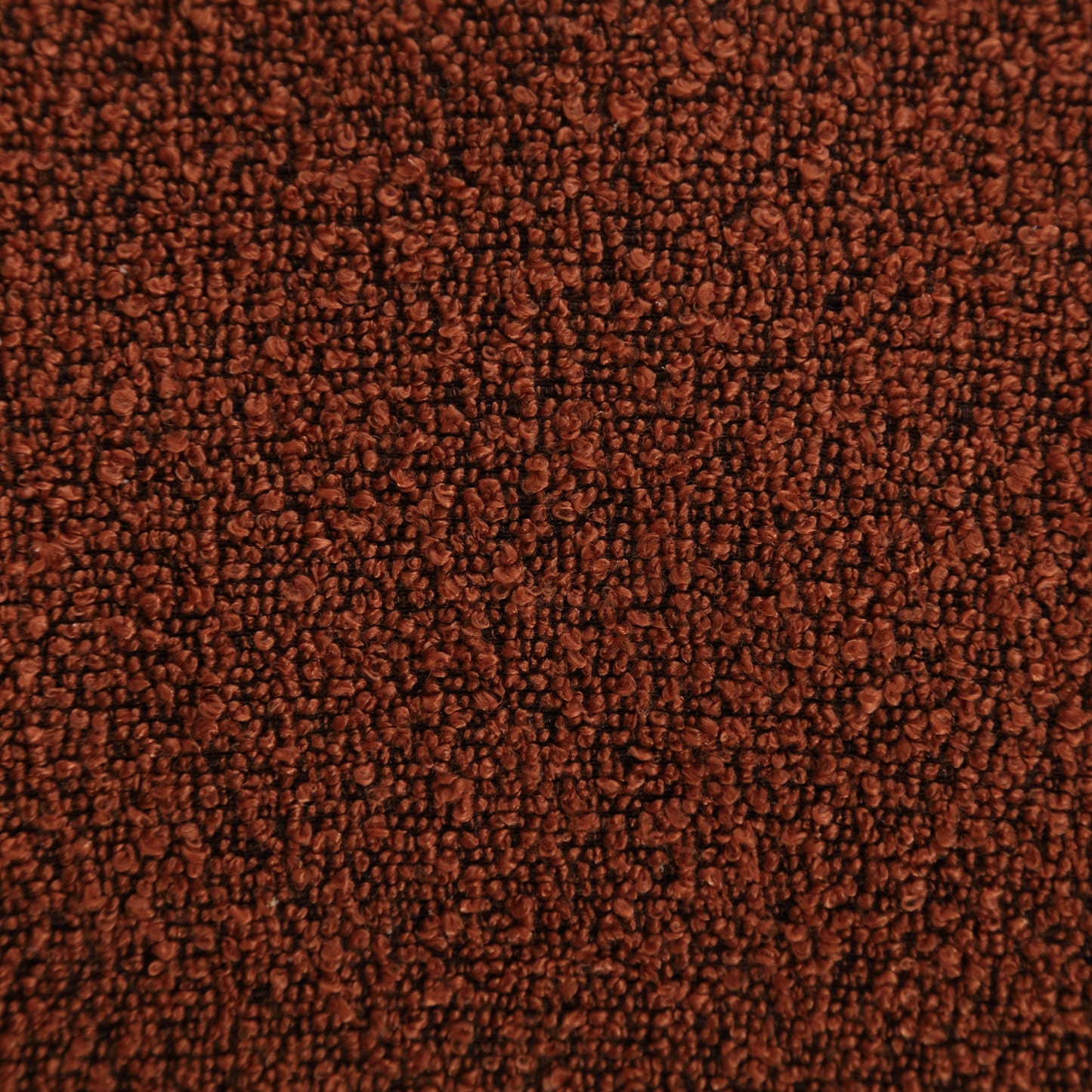 24769494