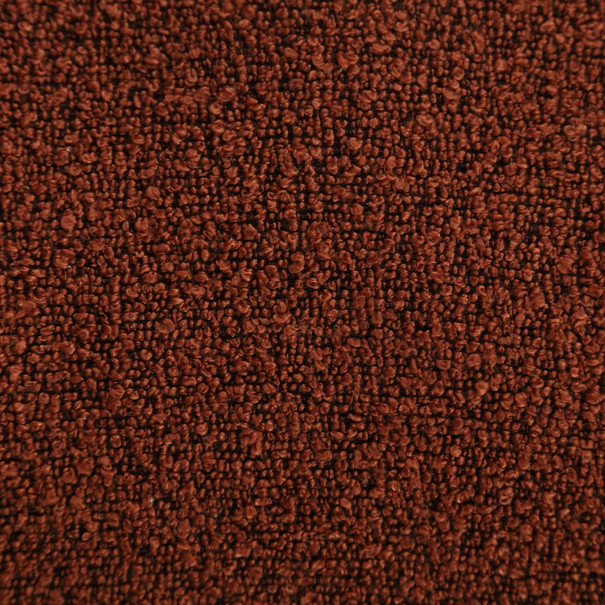 24769494